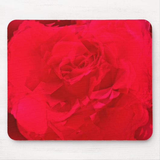 Tapis De Souris Rouge Profond Rose Bloomé (Devant)