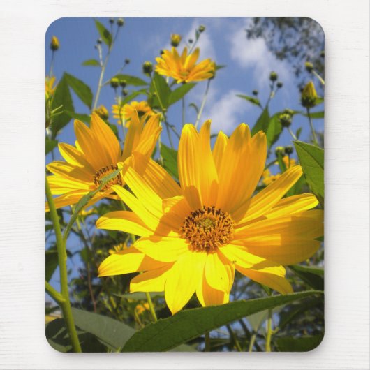 Tapis De Souris Roulette de souris Sunflower (Devant)