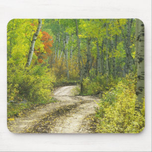 Tapis De Souris Route avec couleurs d'automne et trembles à Kebler
