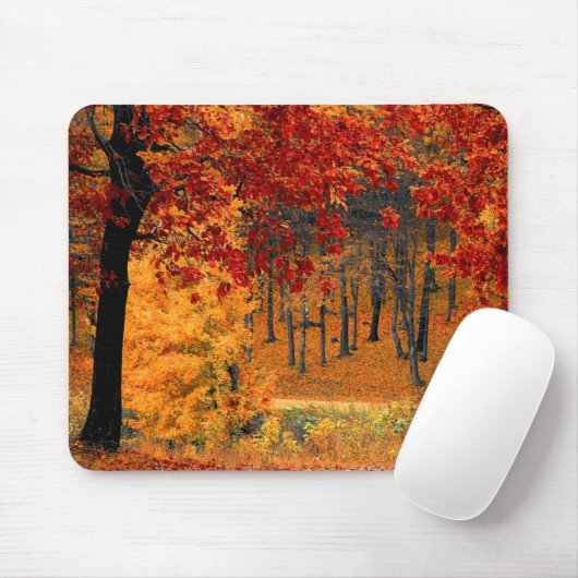 Tapis De Souris Route d'automne (Avec souris)