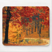 Tapis De Souris Route d'automne (Devant)