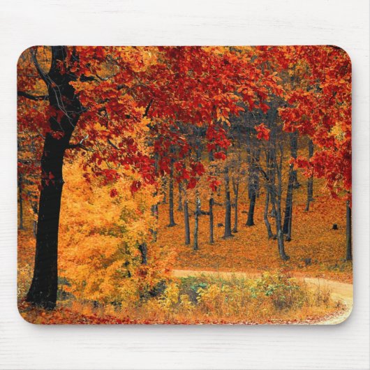 Tapis De Souris Route d'automne (Devant)