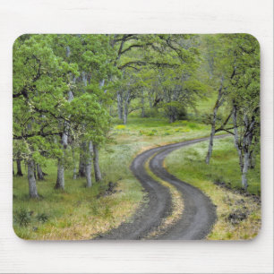 Tapis De Souris Route de campagne à travers les arbres, Oregon