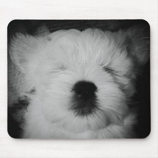 Tapis De Souris Rowdy le chiot de Maltipoo (Devant)