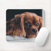 Tapis De Souris Ruby Cavalier King Charles Spaniel Chien Chien Chi (Avec souris)