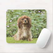 Tapis De Souris Ruby Cavalier King Charles Spaniel dans l'herbe (Avec souris)
