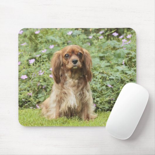 Tapis De Souris Ruby Cavalier King Charles Spaniel dans l'herbe (Avec souris)