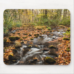 Tapis De Souris Ruisseau Cataloochee NC Grandes Montagnes fumées
