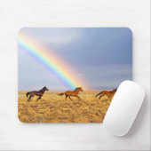 Tapis De Souris Running and Rainbow (Avec souris)