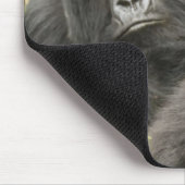 Tapis De Souris Rwanda, Parc national des volcans (Coin)