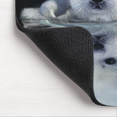 TAPIS DE SOURIS S.O.S. SAUVEGARDEZ NOS PHOQUES À HARP (Coin)