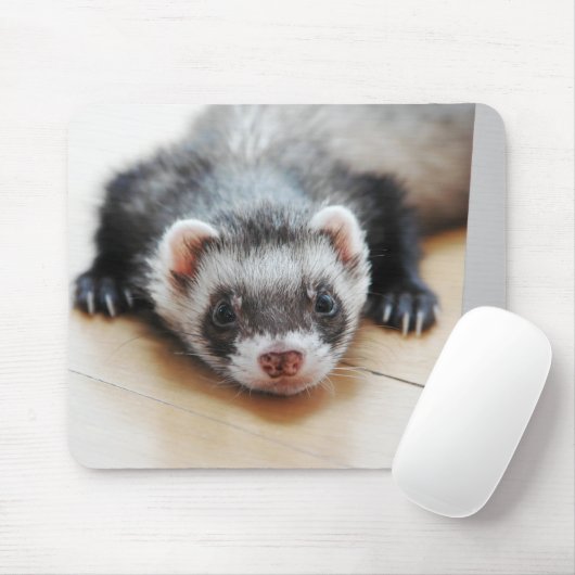 Tapis De Souris Sable Ferret (Avec souris)