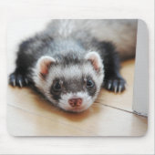 Tapis De Souris Sable Ferret (Devant)