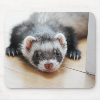 Tapis De Souris Sable Ferret