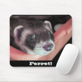 Tapis De Souris Sable ferret mousepad (Avec souris)