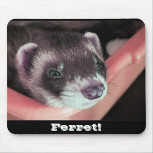 Tapis De Souris Sable ferret mousepad