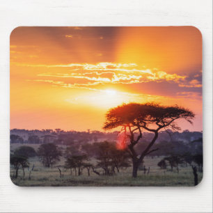 Tapis De Souris Safari dans le parc national du Serengeti
