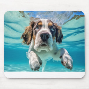 Tapis De Souris Saint Bernard Animaux Chien Animaux Plaisir Jouer