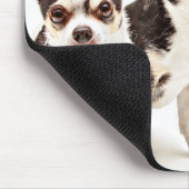 Tapis De Souris Saint Patrick's Day Chihuahua's (Coin)