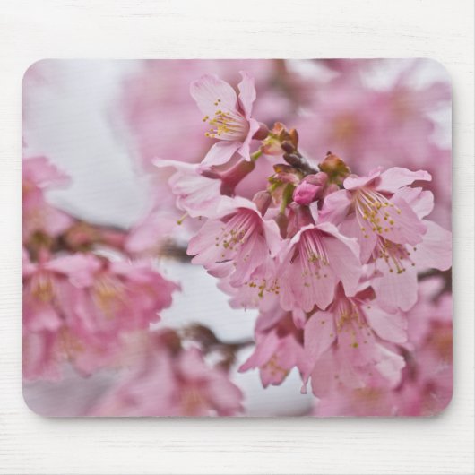Tapis De Souris Sakura Cherry Blossoms rose pâle (Devant)