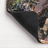 Tapis De Souris Salamandre dans la forêt, Washington (Coin)