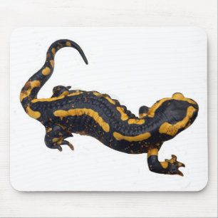 Tapis de souris Salamandre de feu adulte
