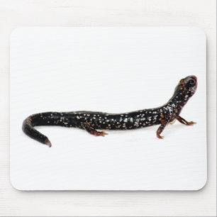 Tapis De Souris salamandre repérée de mousepad de l'Amérique du