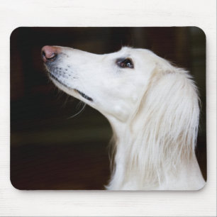 Tapis De Souris Saluki recherchant