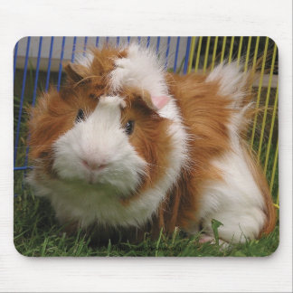 Tapis De Souris Salut là ! (le Mousepad)