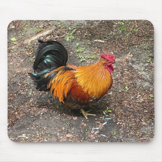 Tapis De Souris Sam Le Rooster Mousepad (Devant)