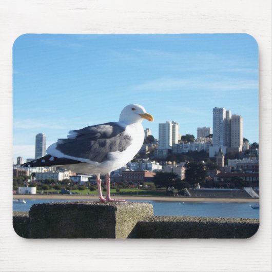 Tapis De Souris san francisco. (Devant)