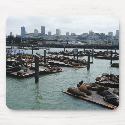 Tapis De Souris San Francisco et Pier 39 Sea Lions City Skyline (Devant)