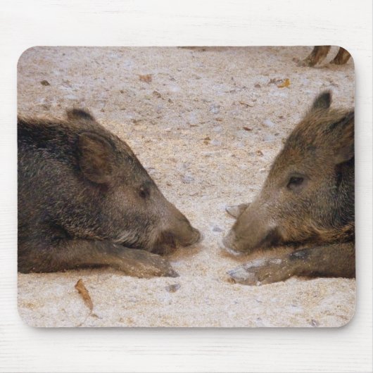 Tapis De Souris Sangliers - Wild Hog (Devant)