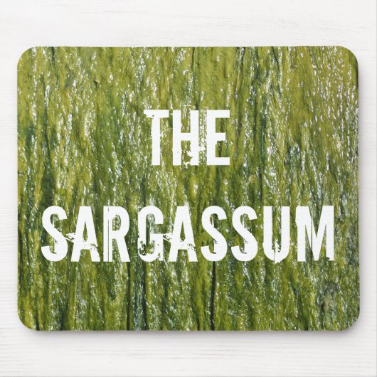 TAPIS DE SOURIS SARGASSUM ! (Devant)