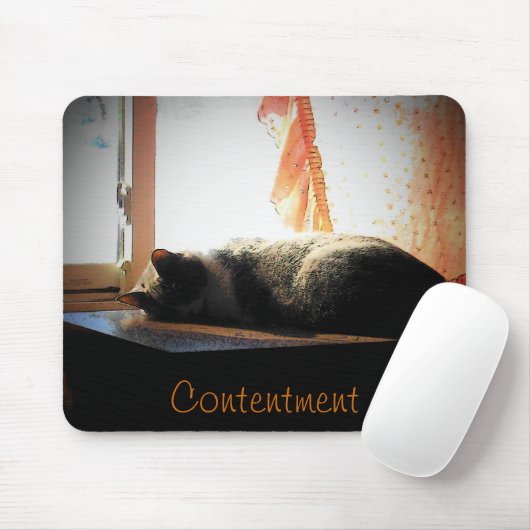 Tapis De Souris Satisfaction (Avec souris)