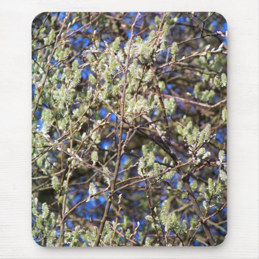 TAPIS DE SOURIS SAULE DE PRINTEMPS (Devant)