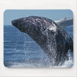 Tapis de souris sautant de baleine de bosse