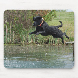 Tapis de souris sautant de laboratoire noir