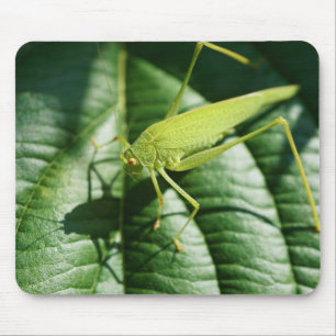 Tapis De Souris sauterelle, insecte, scarabée, insecte