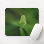 Tapis De Souris Sauterelle Mousepad (Avec souris)