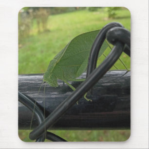 Tapis De Souris Sauterelle verte sur une clôture noire