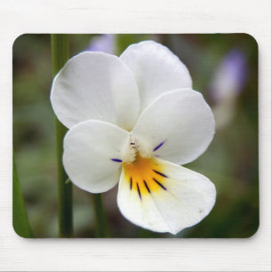Tapis De Souris Sauvage Pansy Mouse Mat