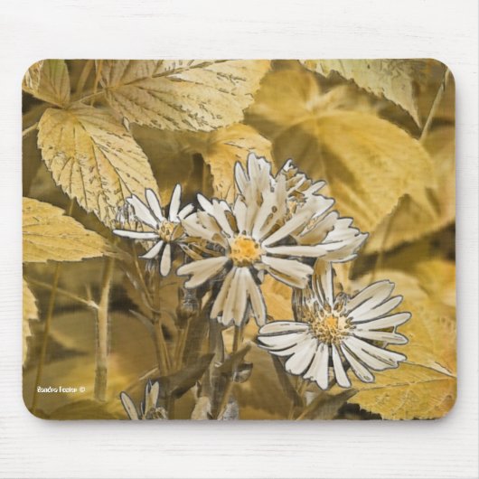 Tapis De Souris Sauvage Souris Aster (Devant)