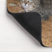 Tapis De Souris Savannah Chat Mousepad (Coin)
