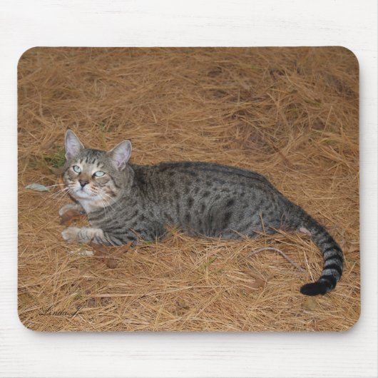 Tapis De Souris Savannah Chat Mousepad (Devant)