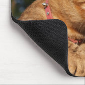 Tapis De Souris Savannah Chat Mousepad (Coin)