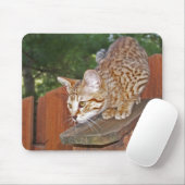 Tapis De Souris Savannah Chat Mousepad (Avec souris)