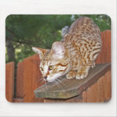 Tapis De Souris Savannah Chat Mousepad (Devant)