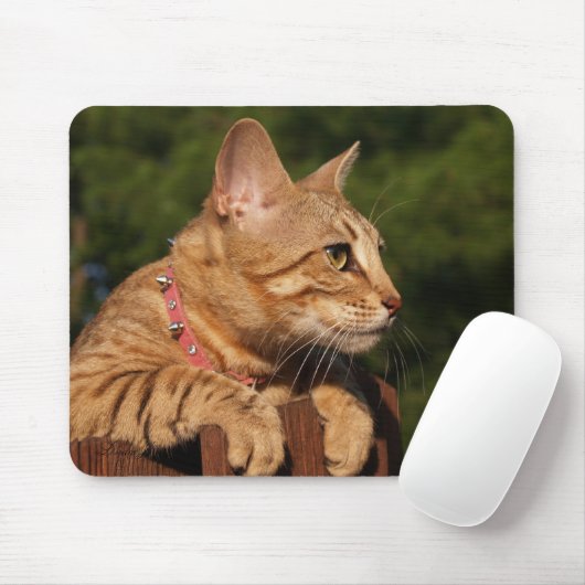 Tapis De Souris Savannah Chat Mousepad (Avec souris)