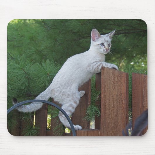 Tapis De Souris Savannah Chat Mousepad (Devant)